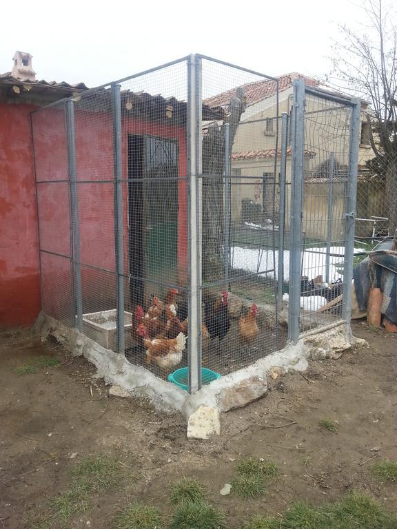 A Pousada El Refugio del Dragón Arcones Exterior foto
